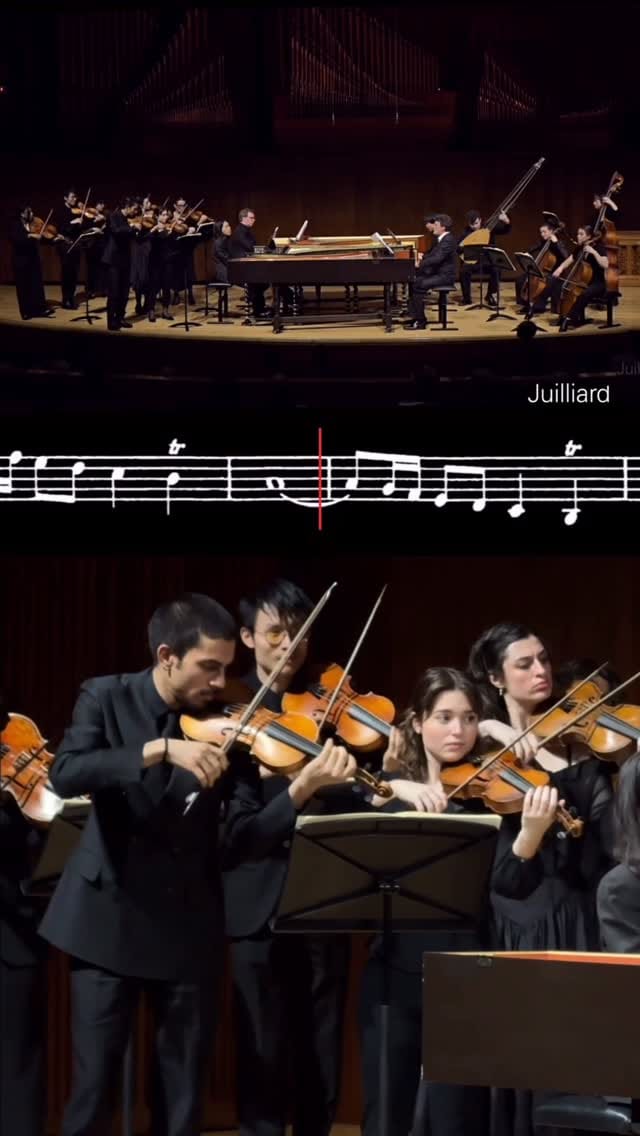 Post 2 by Kaya Gür on Instagram (video)