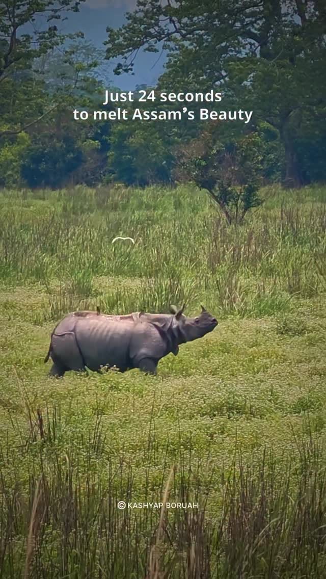 Post 7 by Kashyap Boruah | Assam on Instagram (video)