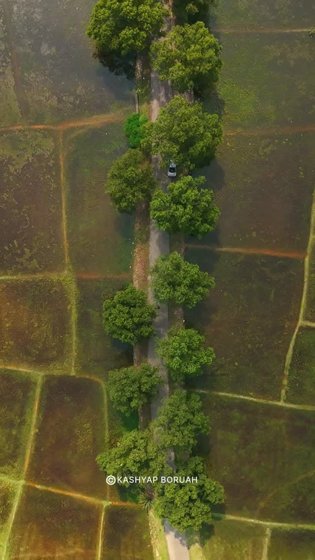 Post 6 by Kashyap Boruah | Assam on Instagram (video)