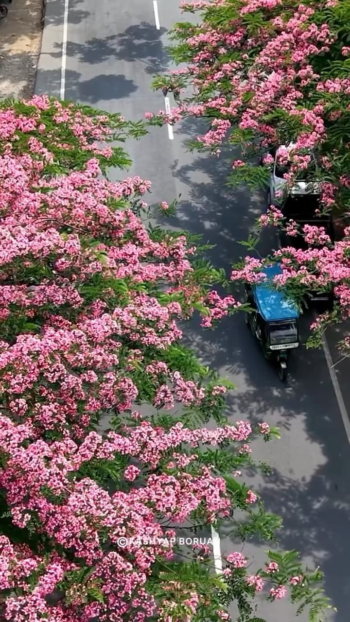 Post 9 by Kashyap Boruah | Assam on Instagram (video)