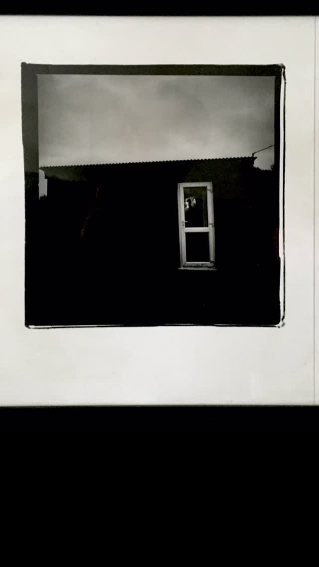 Post 9 by The Bees on Instagram (video)