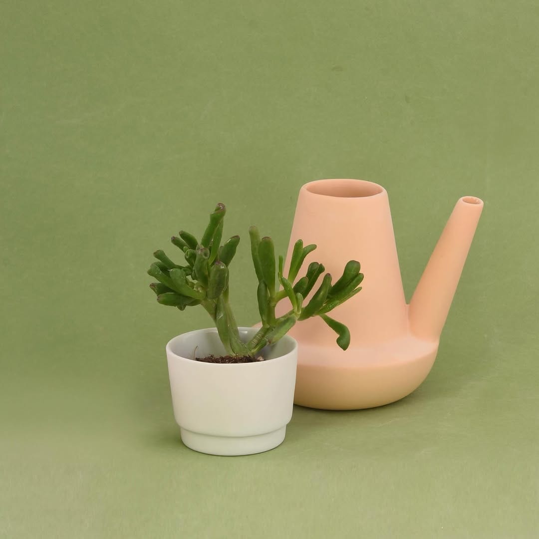 Post 1 by Harm en Elke on Instagram (image)