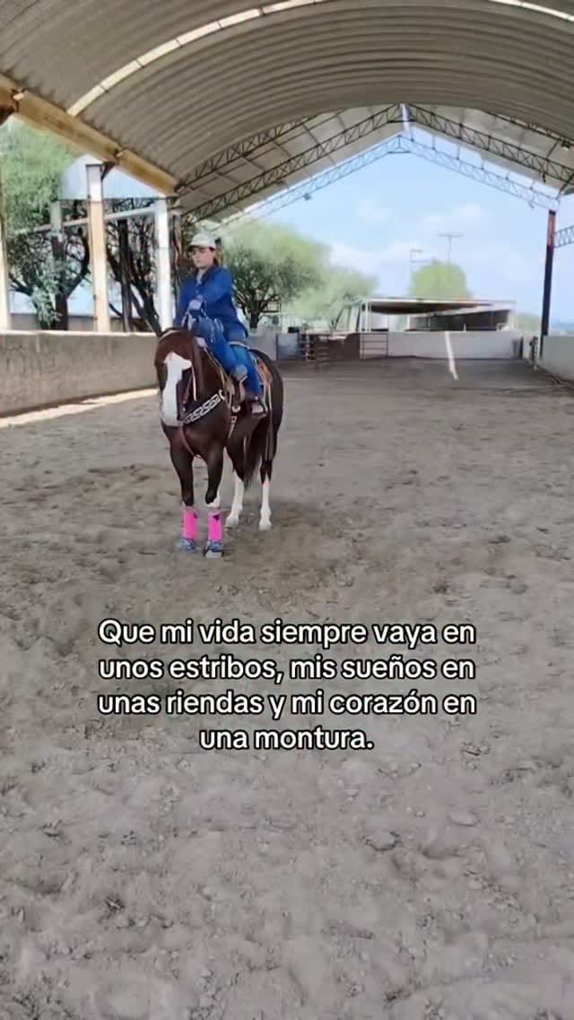 Post 1 by « Blanca » on Instagram (video)
