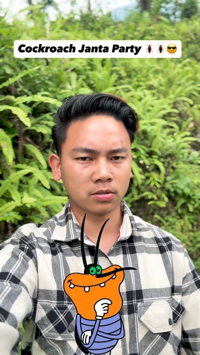 Post 7 by Sujit Alley on Instagram (video)