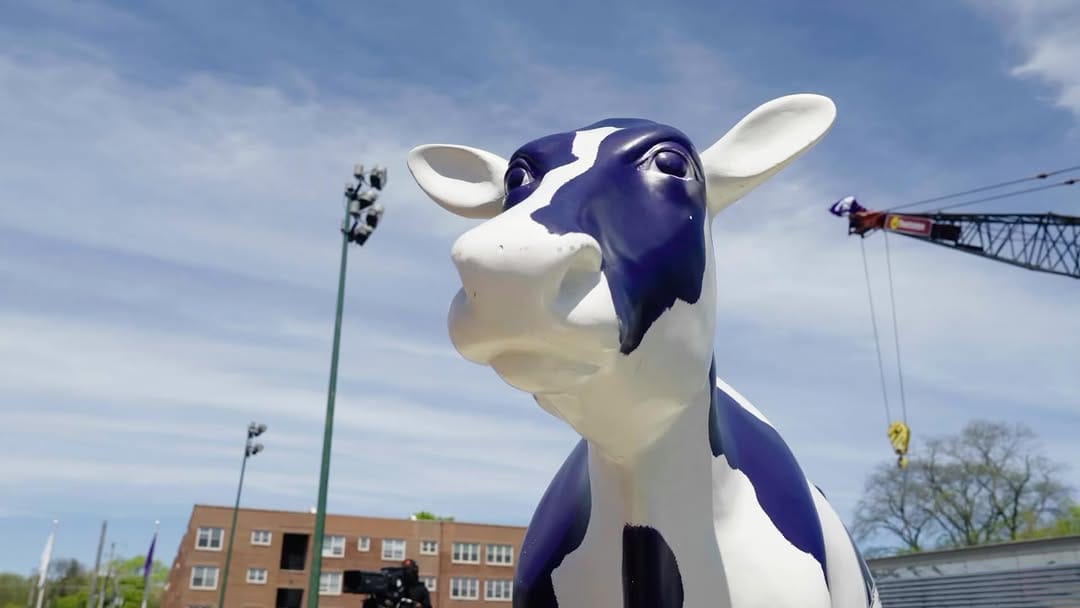 Post 9 by Northwestern Softball on Instagram (video)