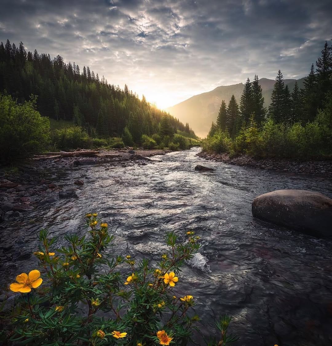 Post 5 by Talent focused Community on Instagram (image)