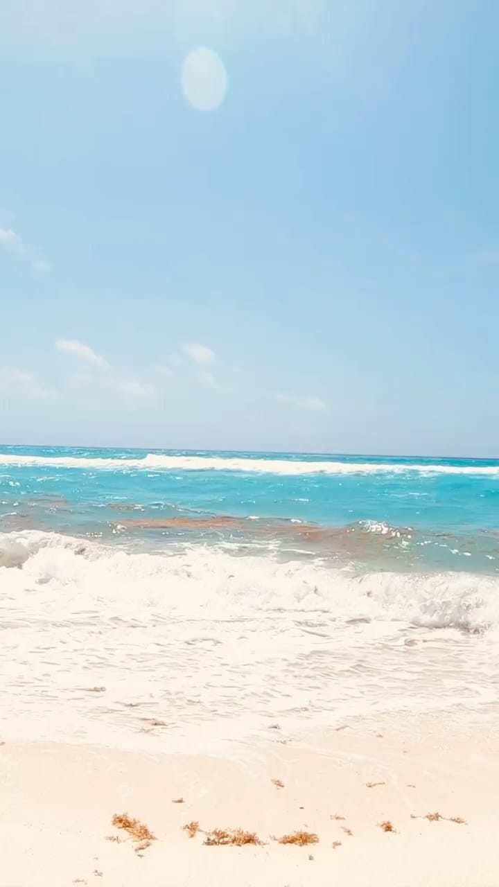 Post 3 by Jade Yoshiko on Instagram (video)