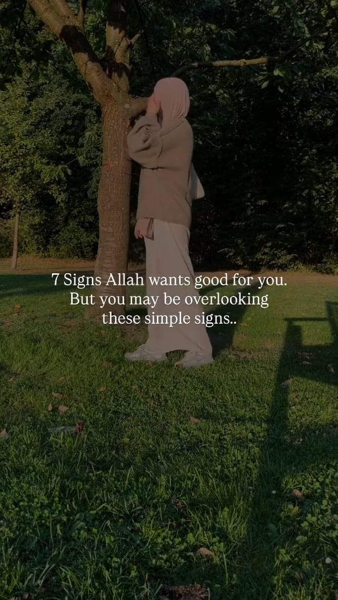 Post 4 by MuslimBlog114 on Instagram (video)