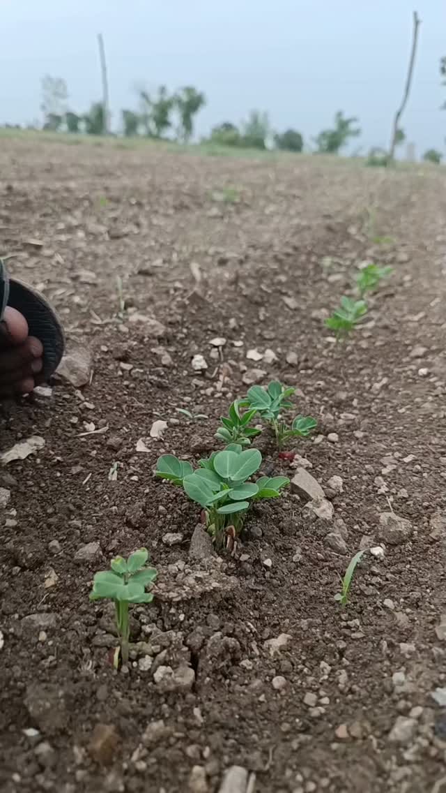 Post 6 by Rajpara Mukesh on Instagram (video)