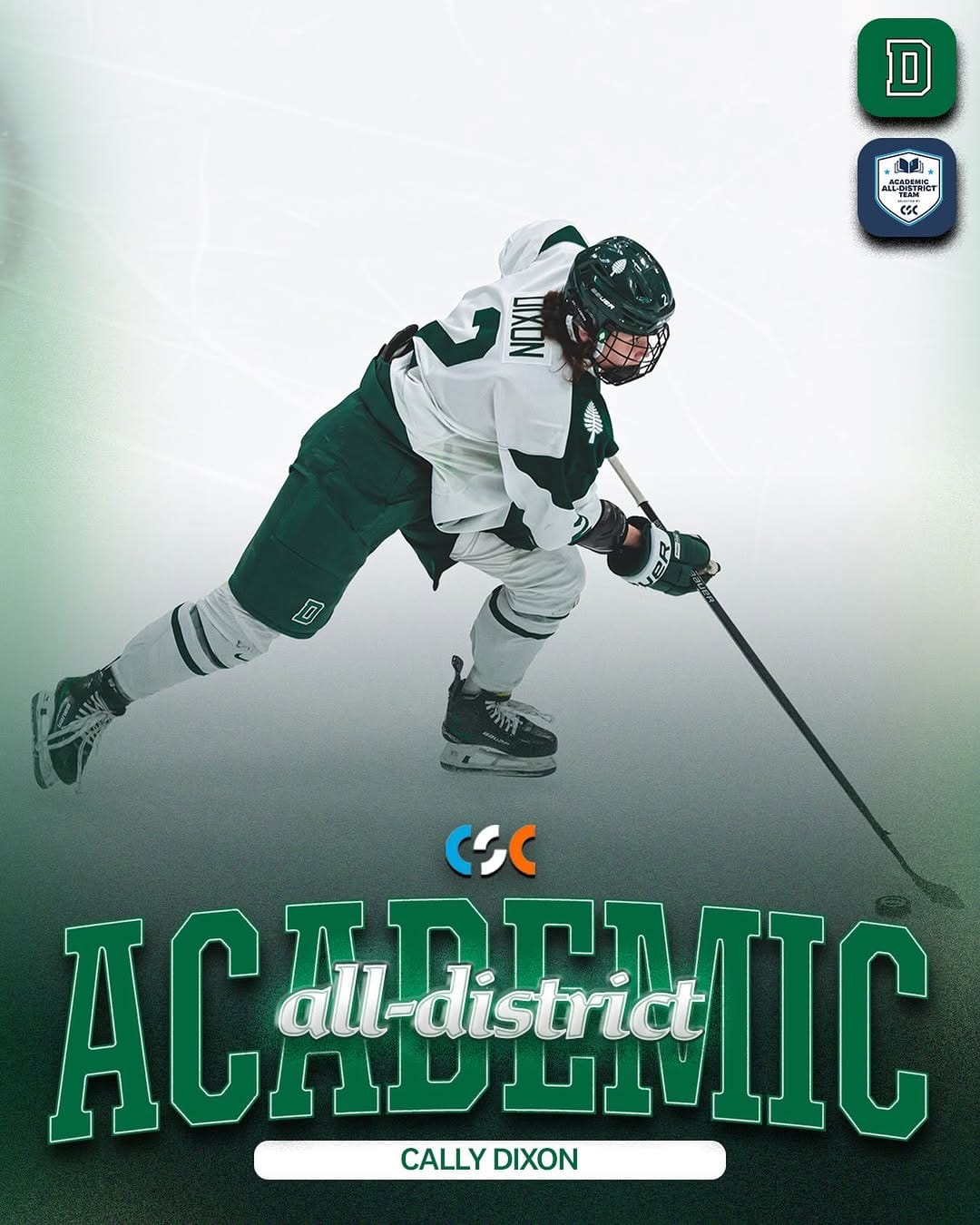 Post 7 by Dartmouth Women's Ice Hockey on Instagram (image)