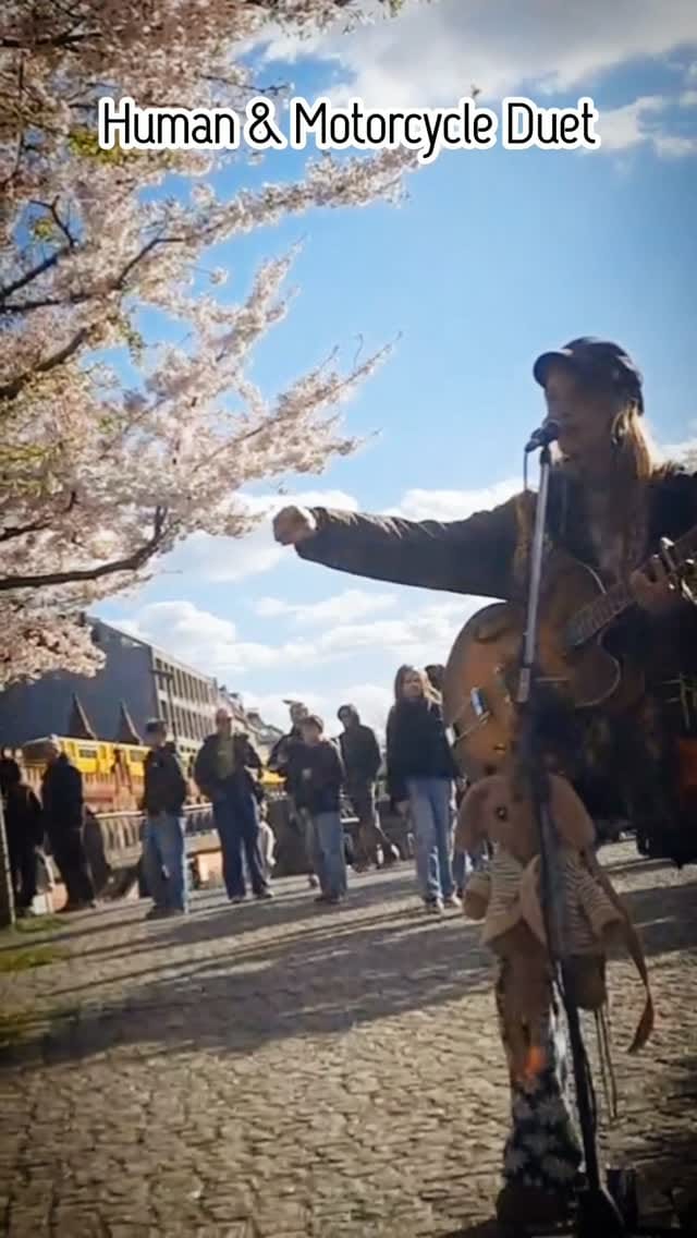 Post 7 by 🌼Suzie Fleur 🎶Street musician 🧚‍♀️Urban Fairy on Instagram (video)
