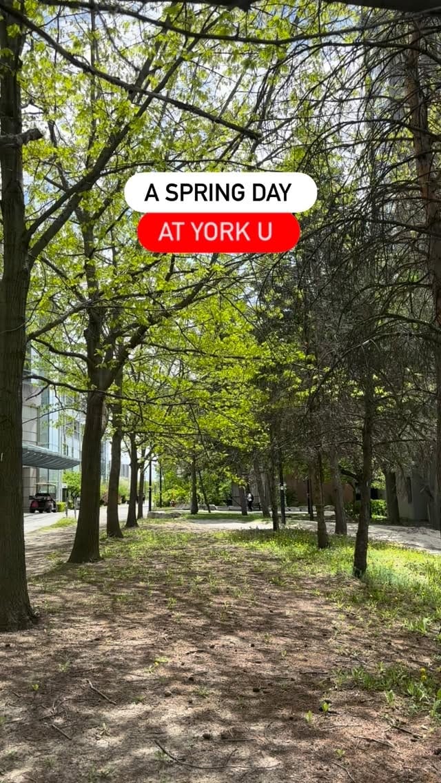 Post 9 by York University Alumni on Instagram (video)