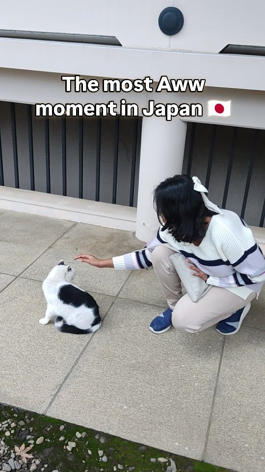 Post 3 by Noriko | Sanjeevani 👩‍🏫🇮🇳🇯🇵 on Instagram (video)