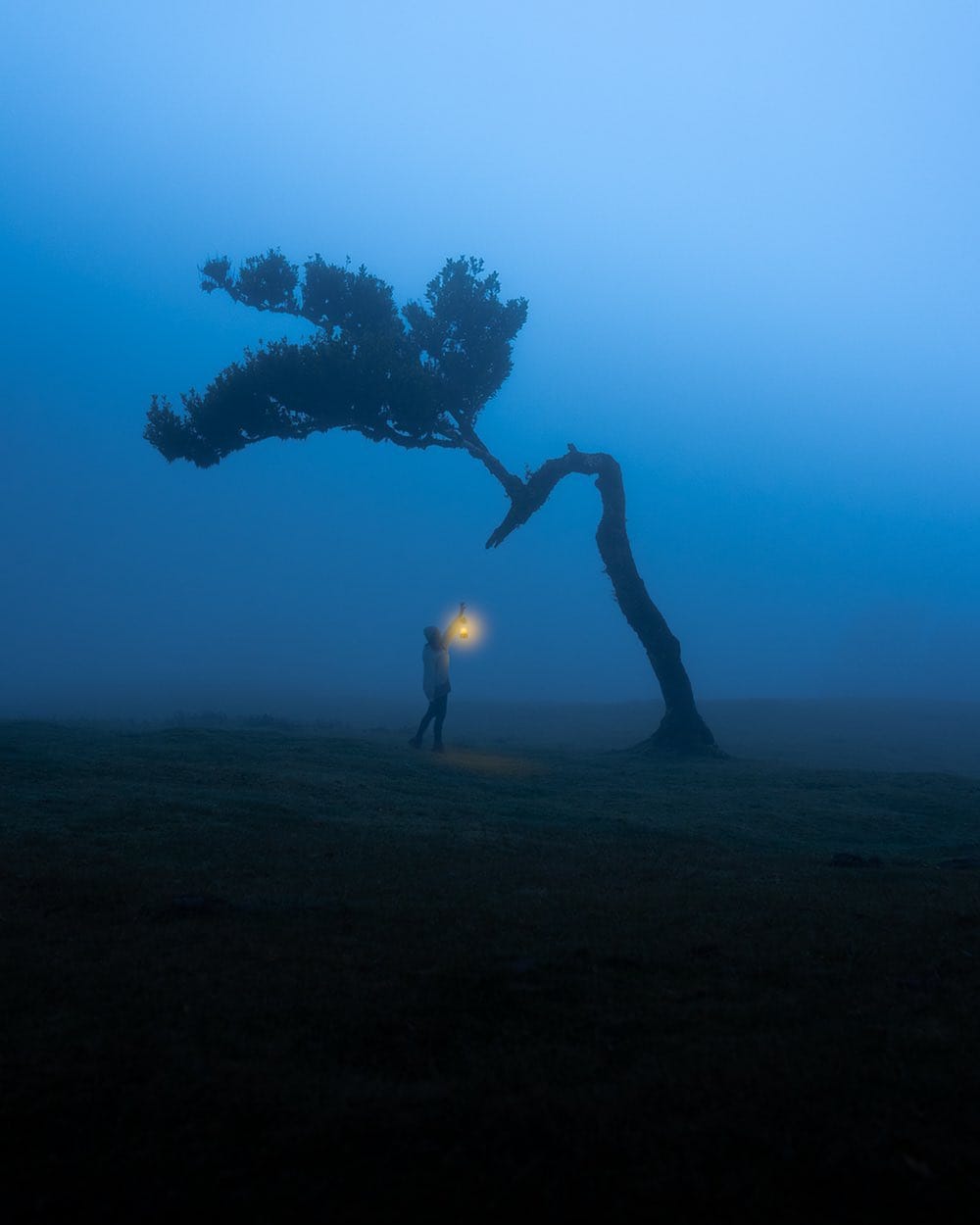 Post 4 by jonas hausmann on Instagram (image)
