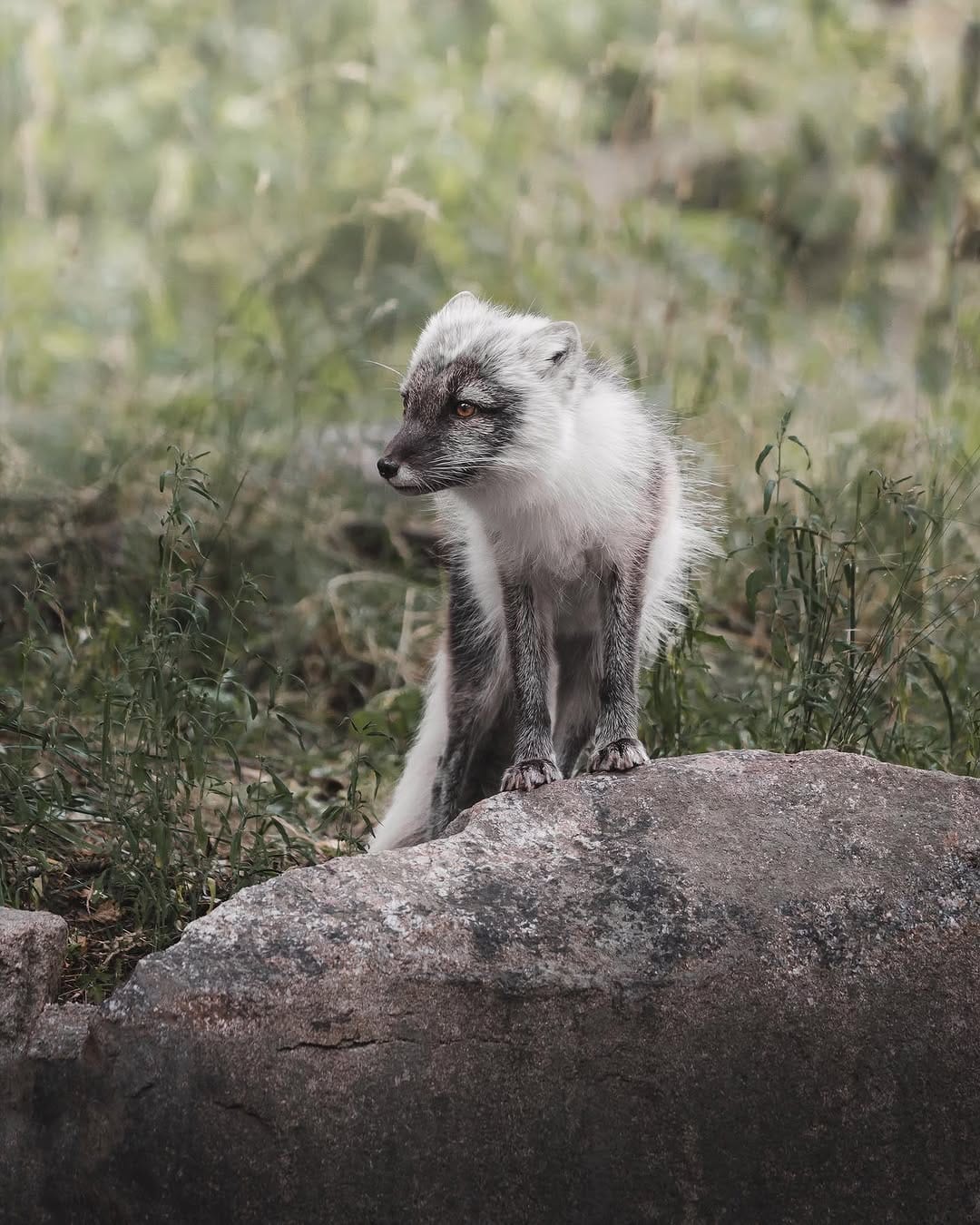 Post 1 by jonas hausmann on Instagram (image)