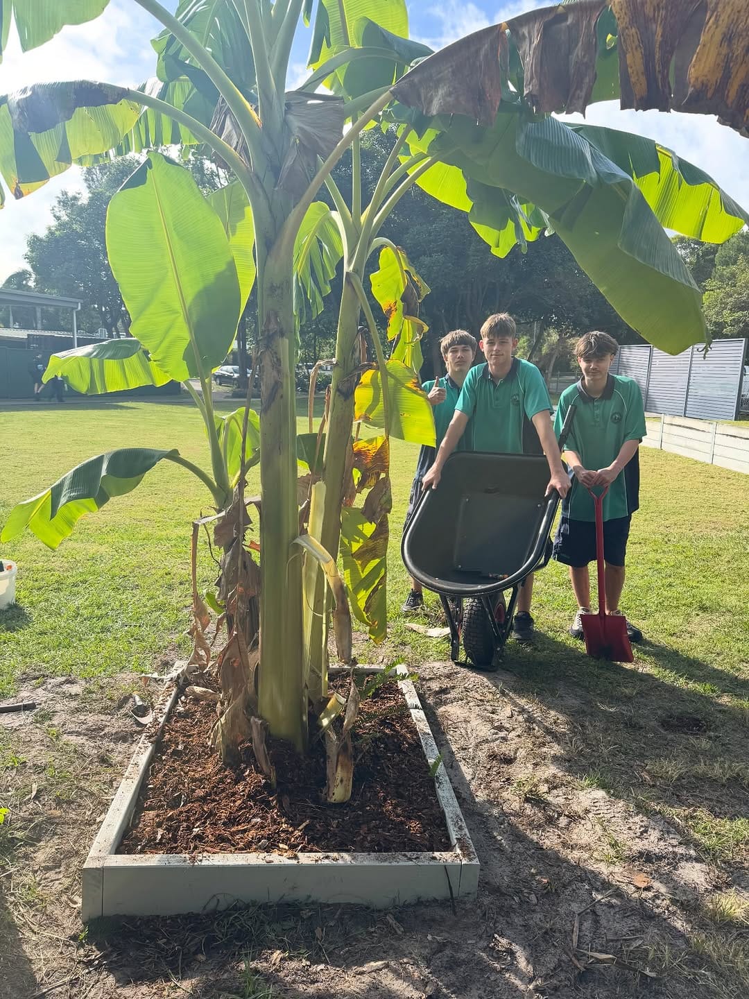 Post 5 by Sunshine Beach SHS on Instagram (image)