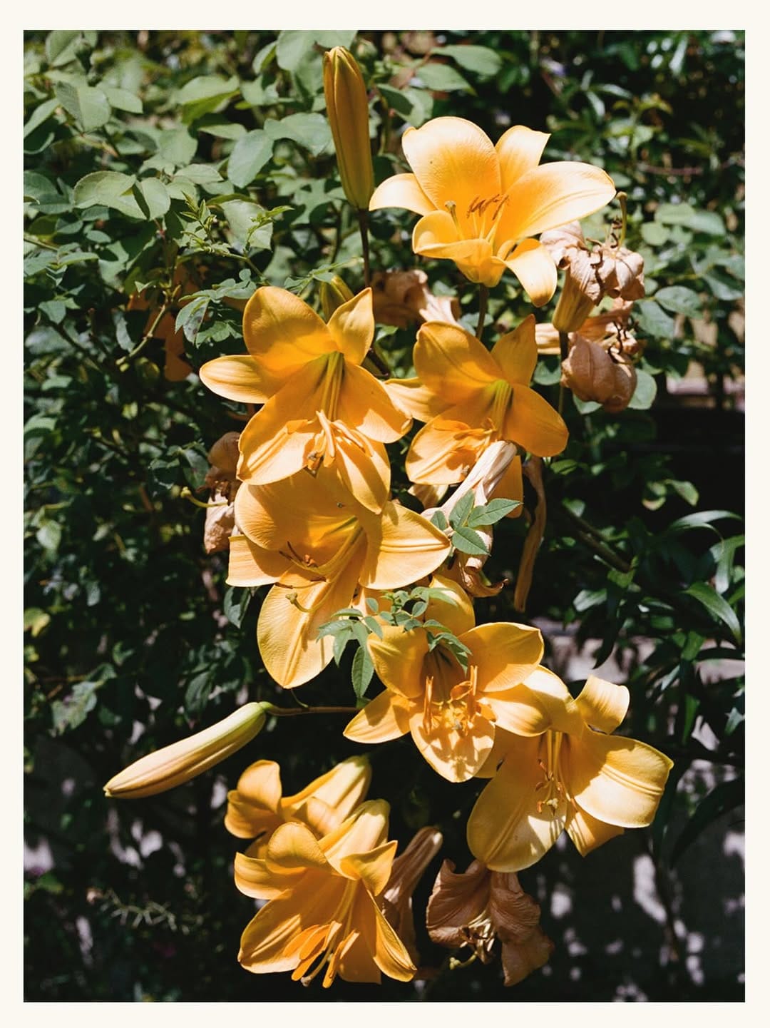 Post 9 by Fleur Bult on Instagram (image)