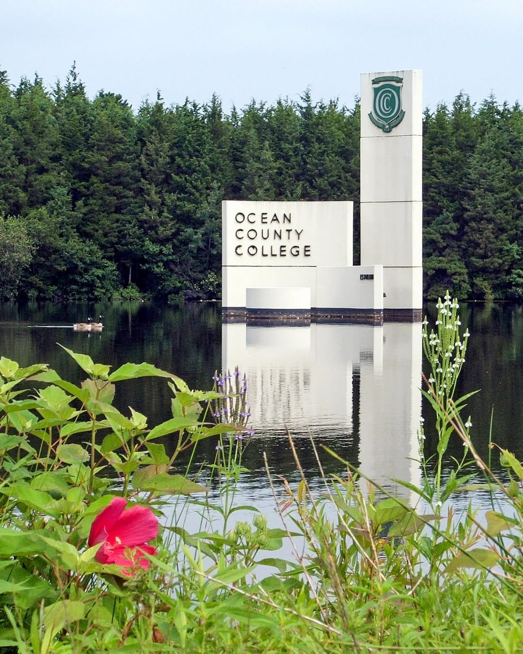 Post 8 by Ocean County College on Instagram (image)