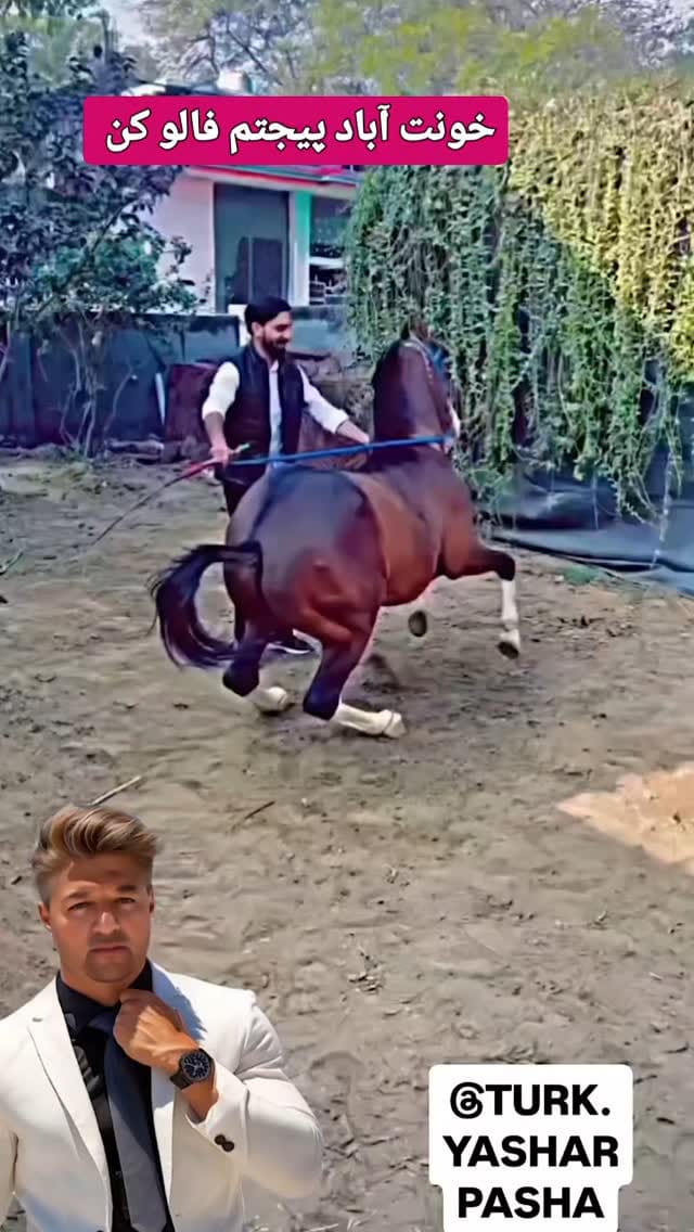 Post 6 by سلام خانه اتون اباد پیجمم 👍لایک کنید on Instagram (video)