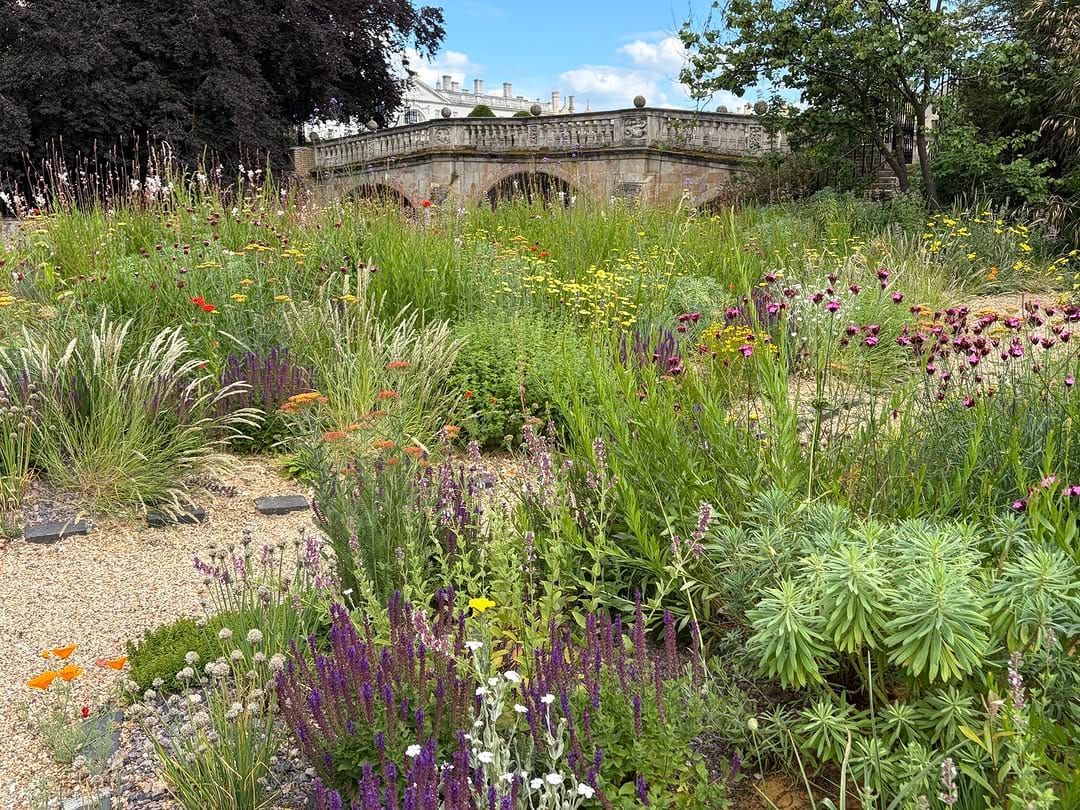 Post 8 by Clare College on Instagram (image)
