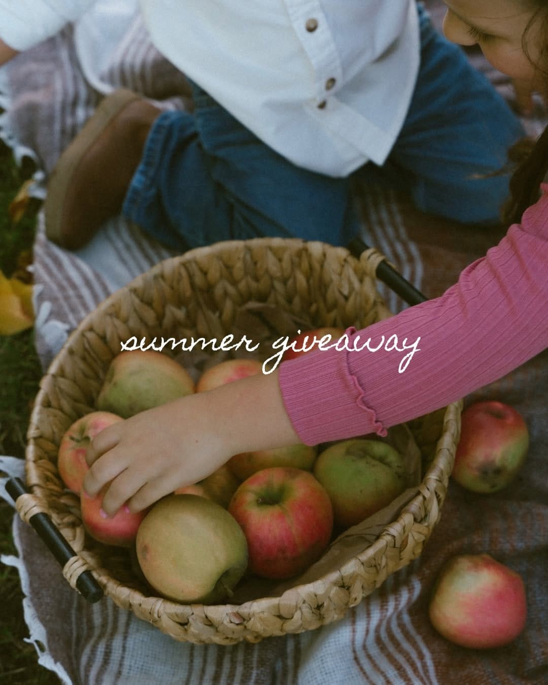 Post 1 by Oregon & Destination Photographer + Video | Shelby on Instagram (carousel)