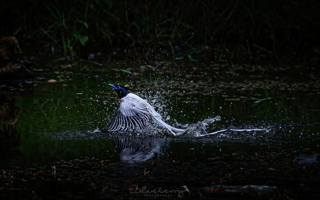 Post 8 by Vinu Anand S on Instagram (carousel)