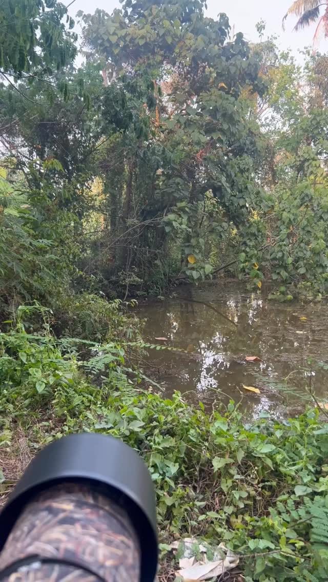 Post 9 by Vinu Anand S on Instagram (video)