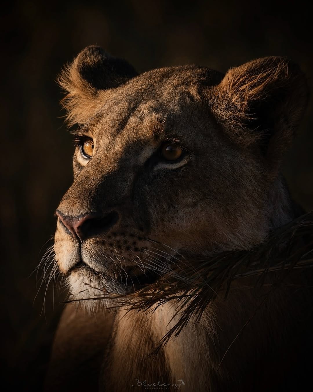 Post 5 by Vinu Anand S on Instagram (image)
