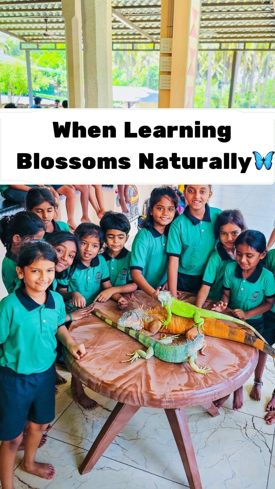 Post 10 by Kavipriya Raju on Instagram (video)