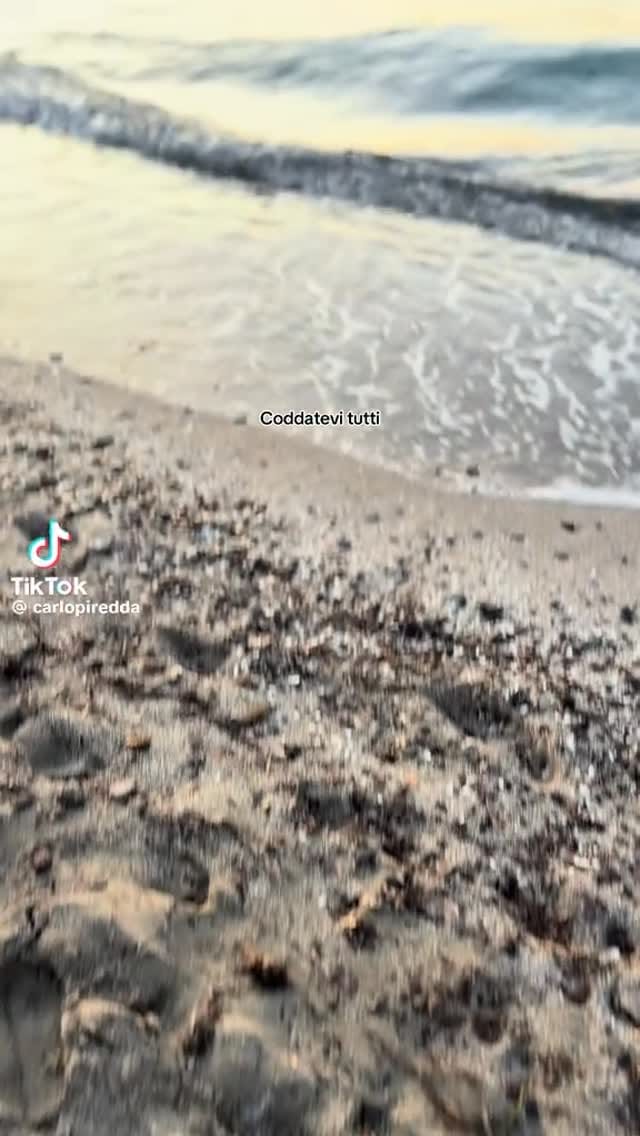 Post 2 by Trash Cagliaritano on Instagram (video)