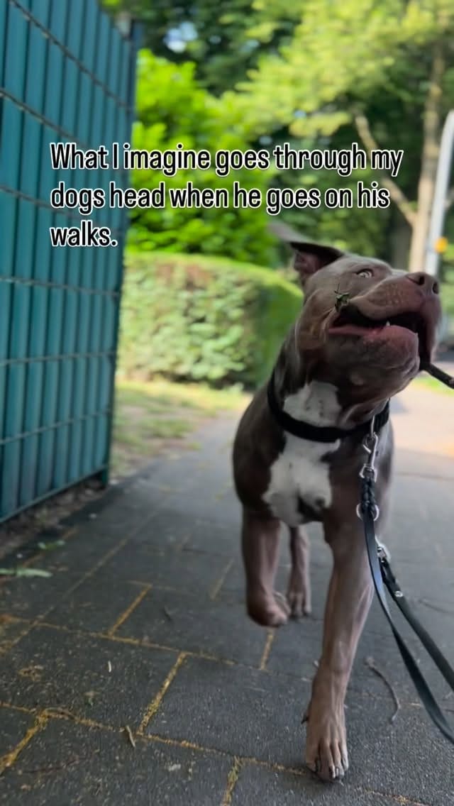 Post 9 by Linda Schwarz on Instagram (video)