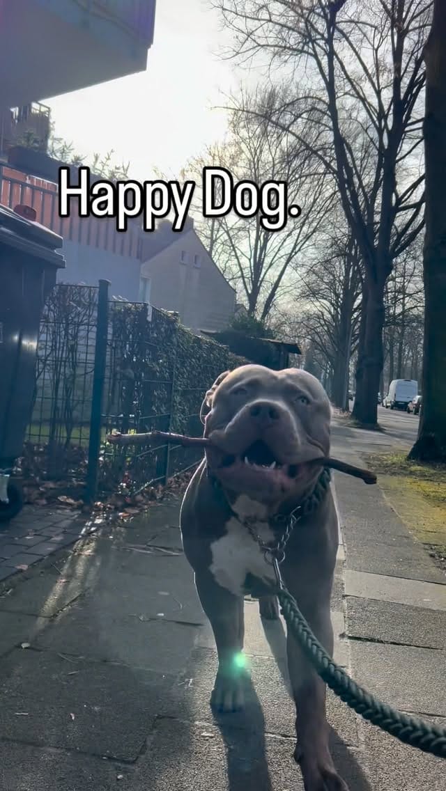 Post 8 by Linda Schwarz on Instagram (video)