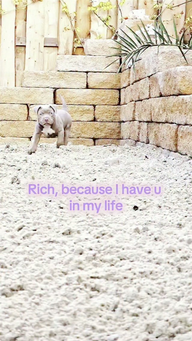 Post 5 by Linda Schwarz on Instagram (video)