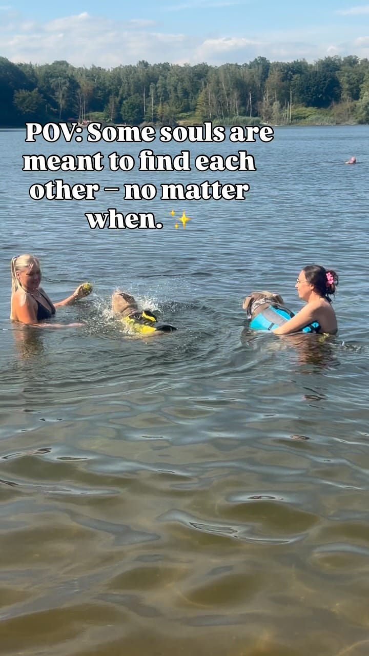 Post 1 by Linda Schwarz on Instagram (video)