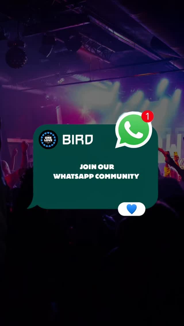 Post 8 by BIRD on Instagram (video)