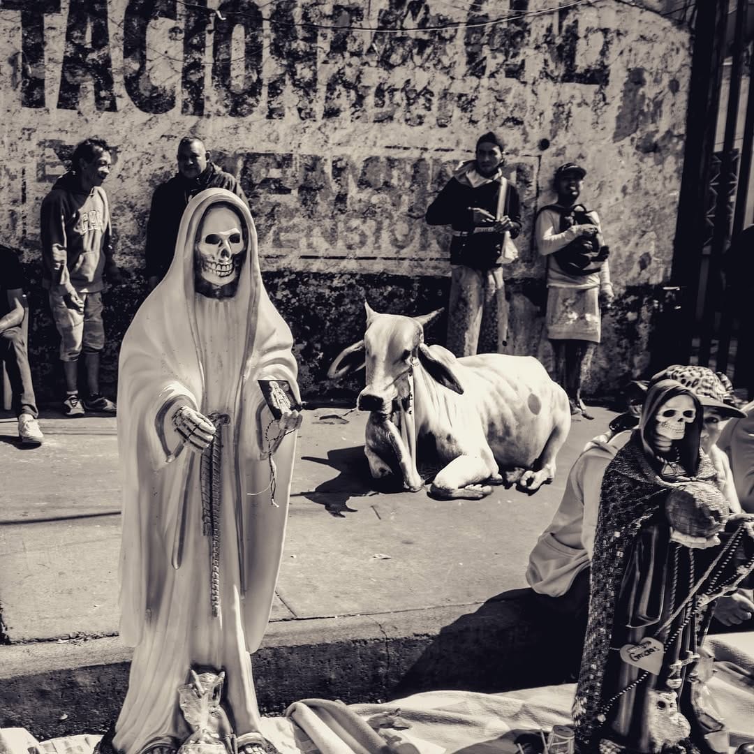 Post 4 by Pedro Meyer- Fotógrafo. on Instagram (image)