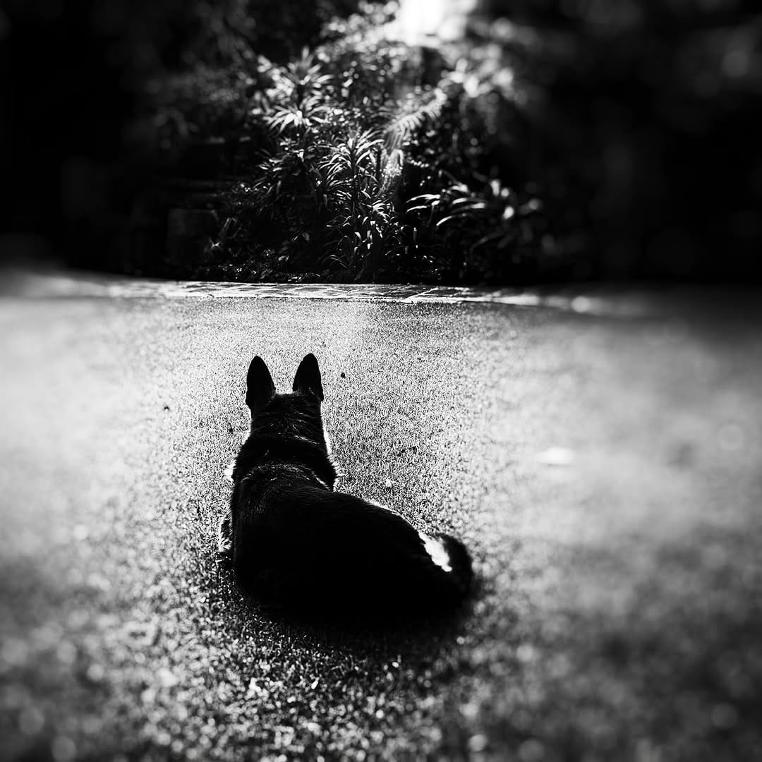 Post 6 by Pedro Meyer- Fotógrafo. on Instagram (image)