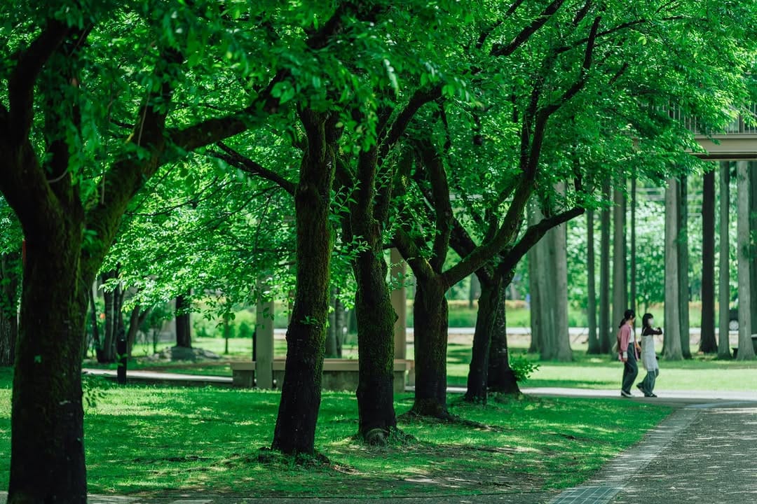 Post 4 by 国際教養大学／AIU on Instagram (image)