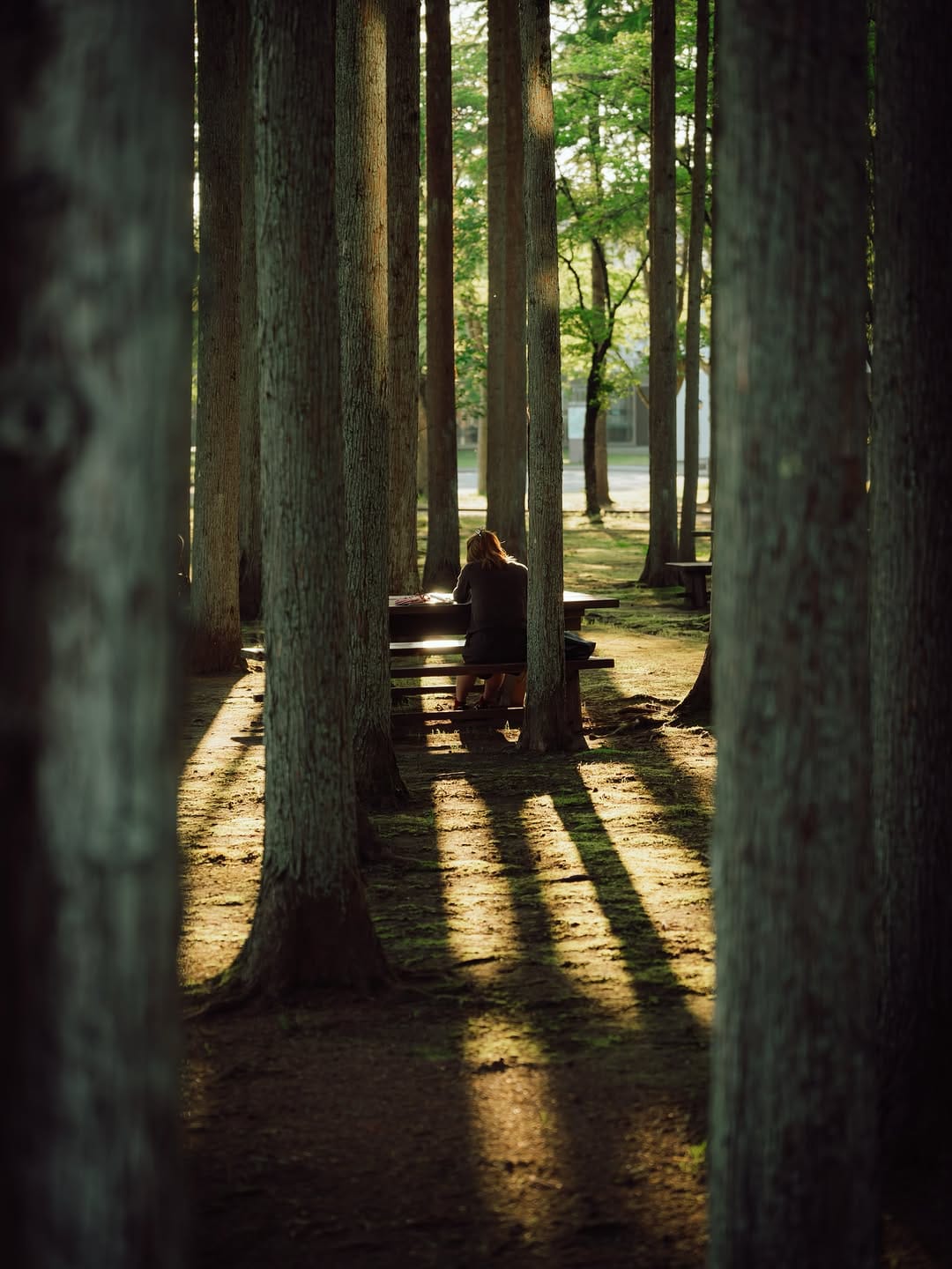 Post 9 by 国際教養大学／AIU on Instagram (image)