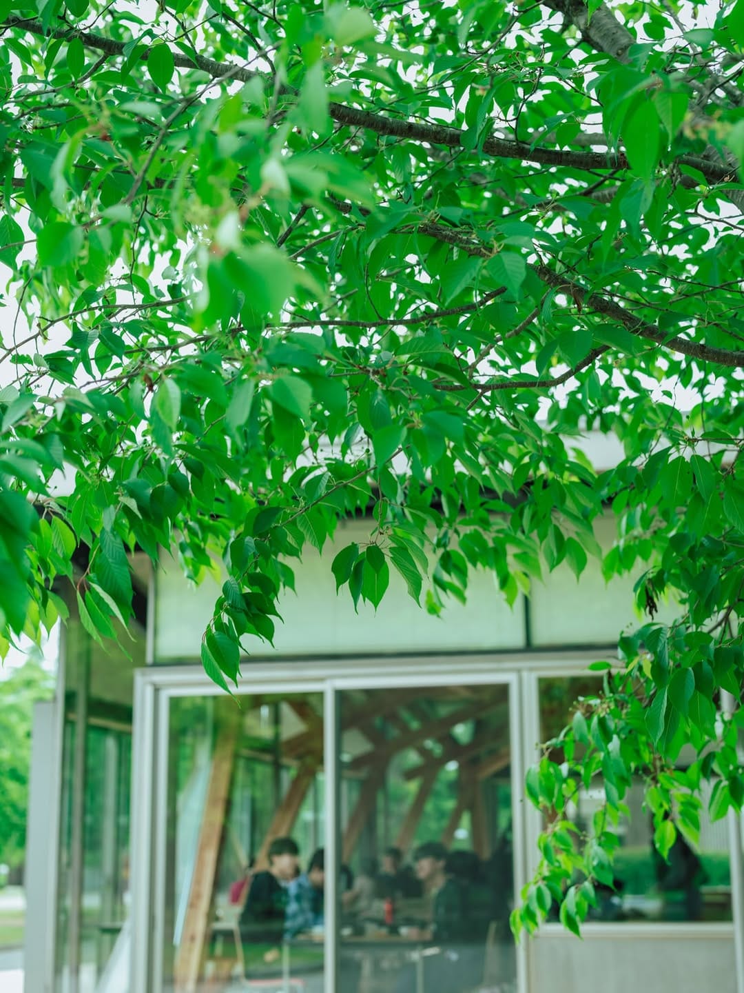 Post 5 by 国際教養大学／AIU on Instagram (image)