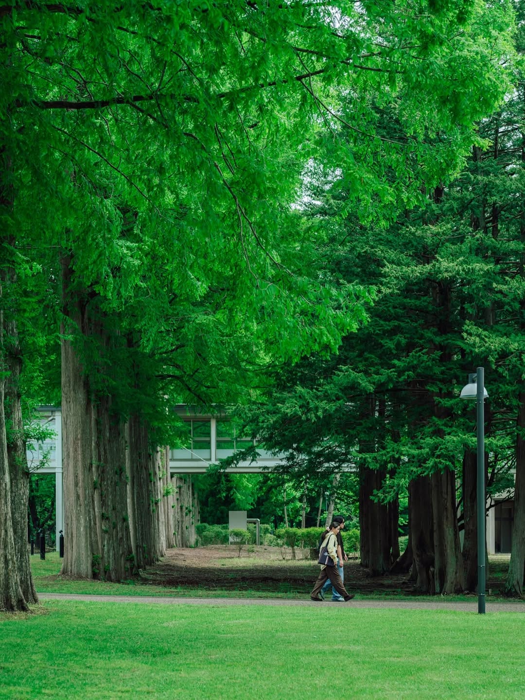 Post 3 by 国際教養大学／AIU on Instagram (image)