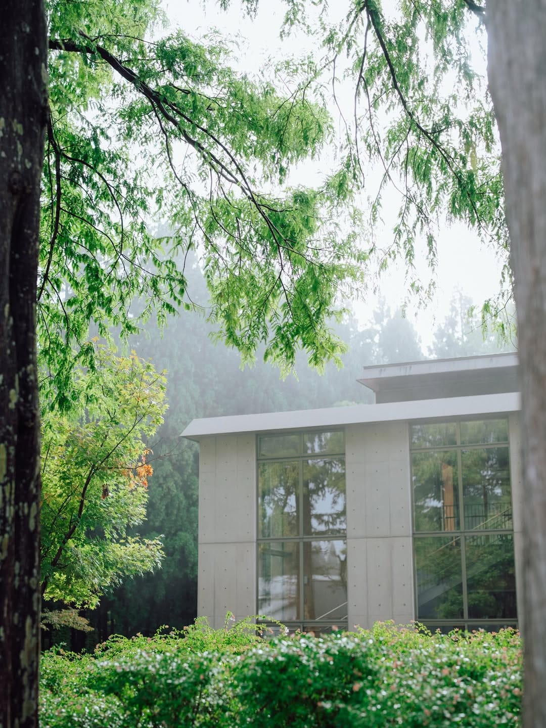 Post 7 by 国際教養大学／AIU on Instagram (image)