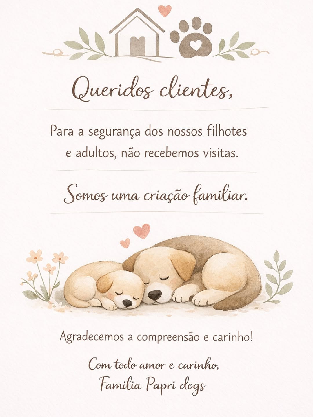 Post 10 by Família Di Papri Dog's 🐶🐾 on Instagram (image)