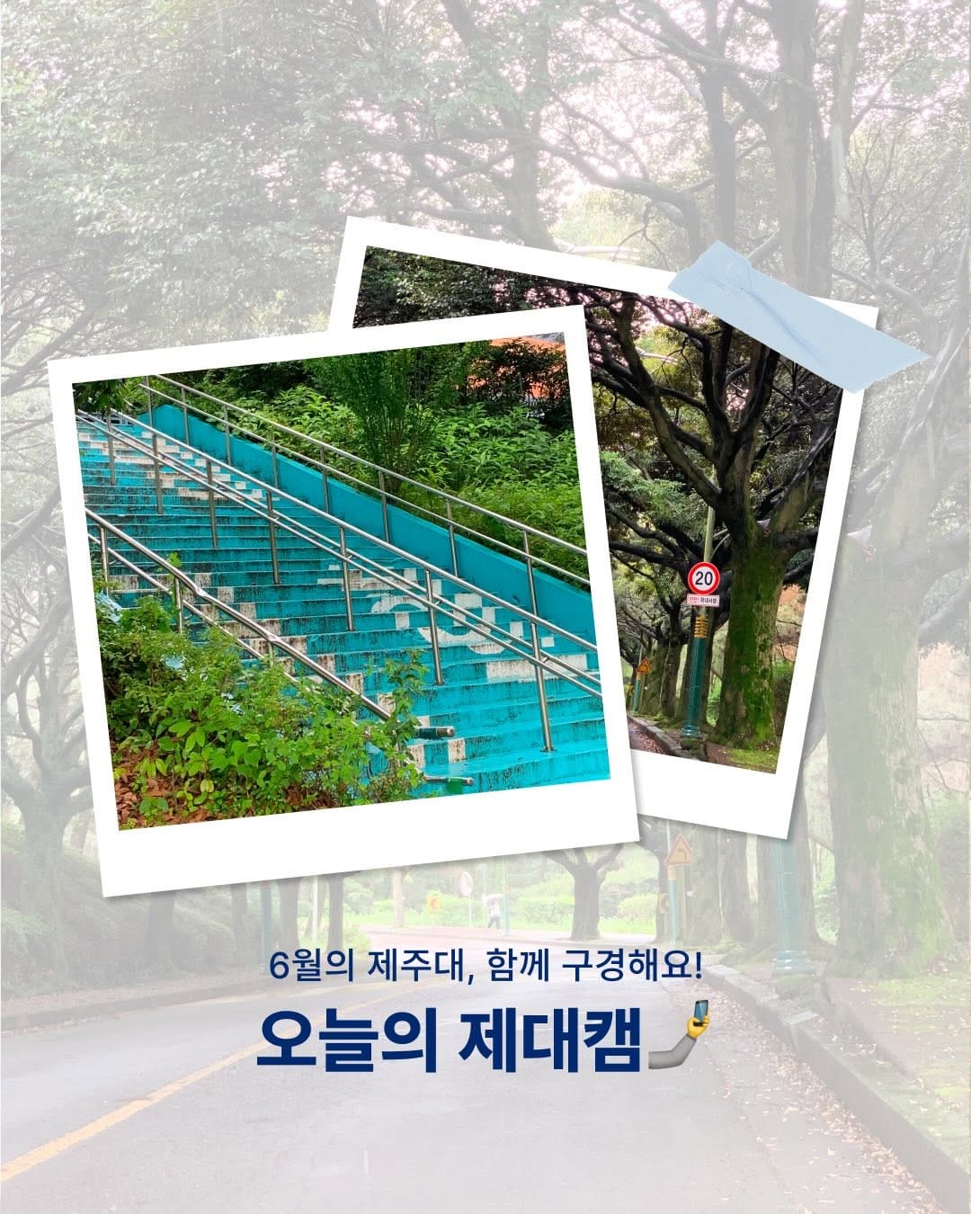 Post 4 by 제주대학교 on Instagram (carousel)
