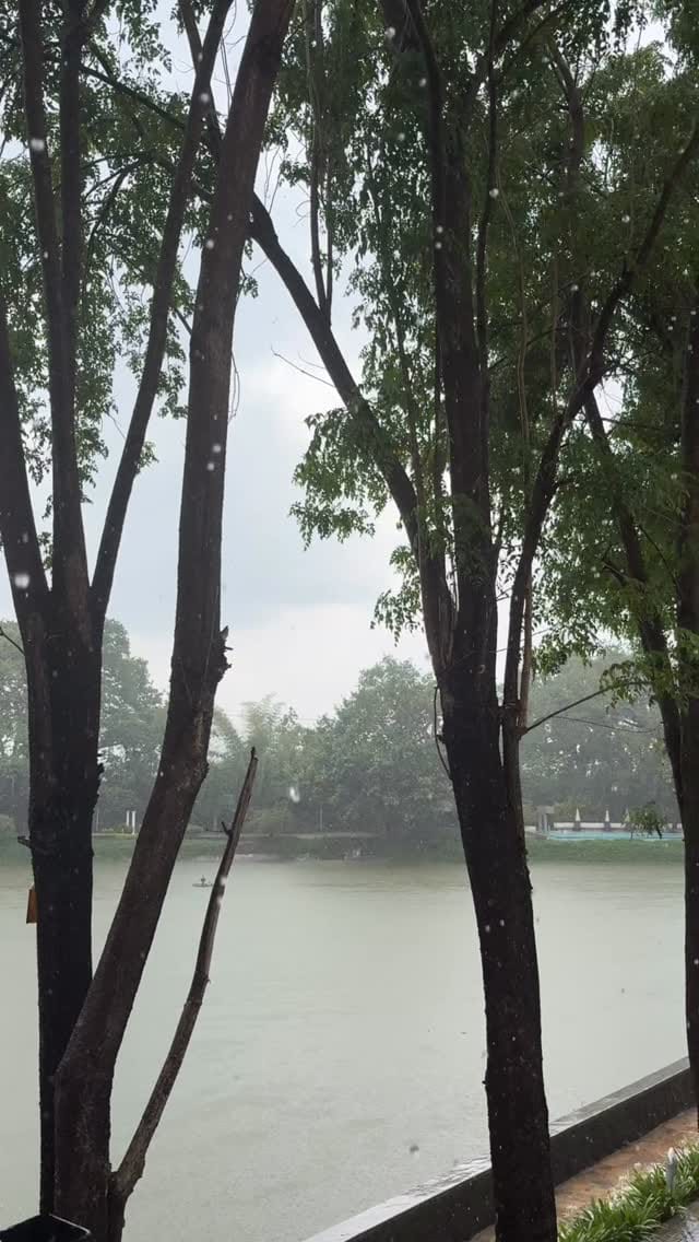 Post 6 by Sunita Rajwar on Instagram (video)