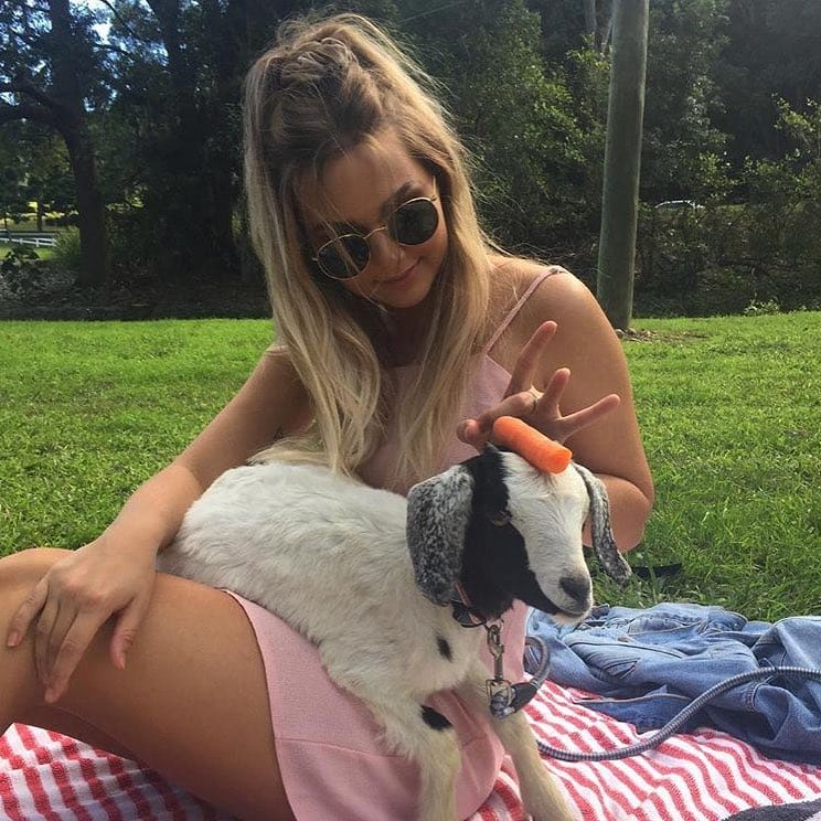 Post 9 by Goat Lovers Anonymous on Instagram (image)