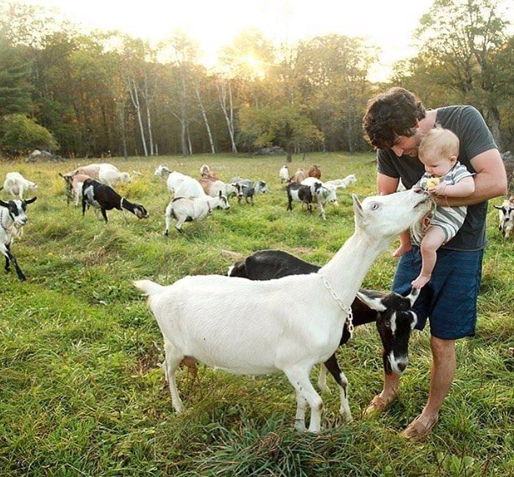 Post 10 by Goat Lovers Anonymous on Instagram (image)