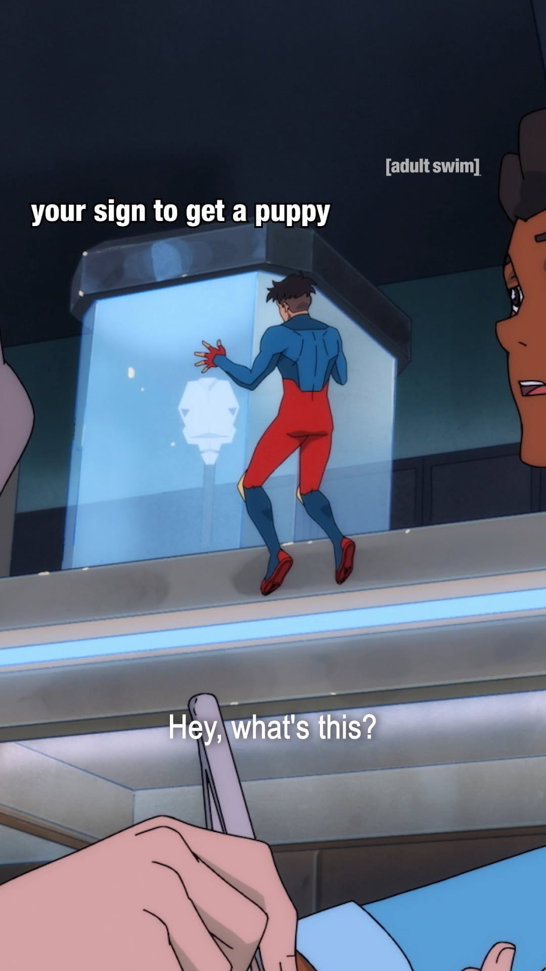 Post 1 by Adult Swim Europe on Instagram (video)