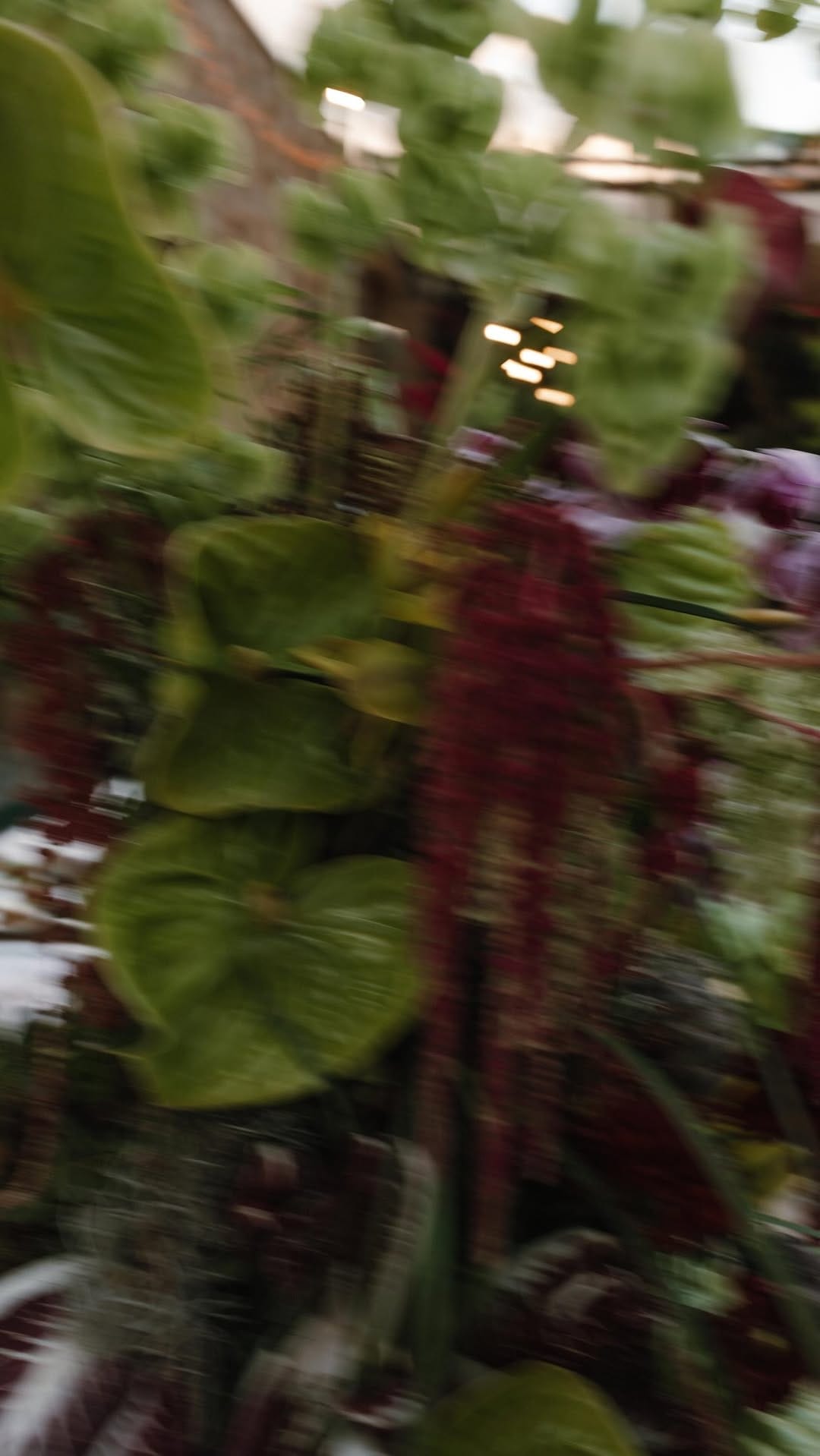 Post 3 by Heydays | Wedding Photographer in Italy and Europe on Instagram (video)