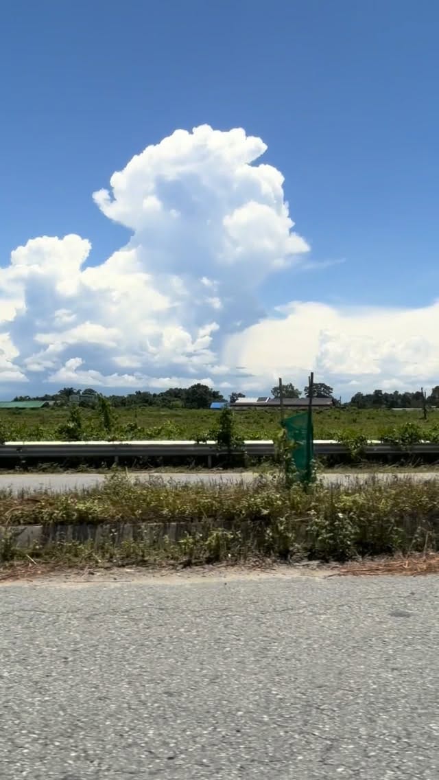 Post 2 by Ajoy Phukan on Instagram (video)